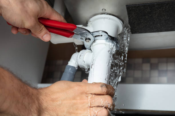 Best Professional water damage repair  in Terre Du Lac, MO