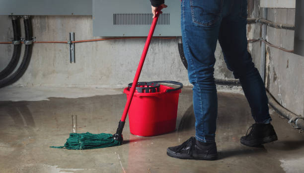 Best Flooded house restoration  in Terre Du Lac, MO
