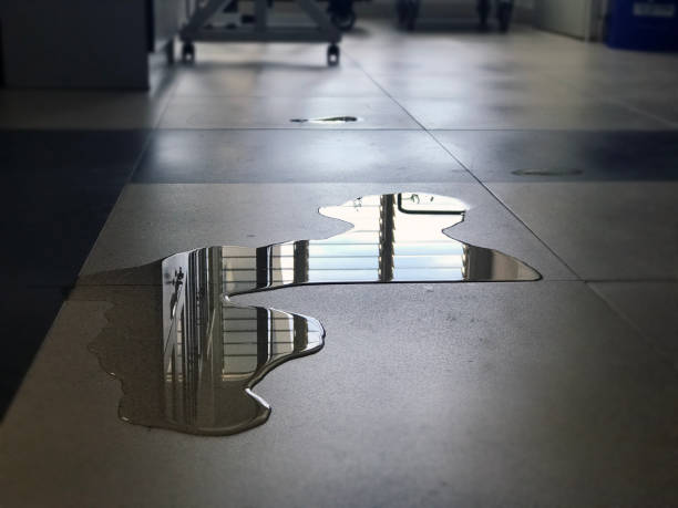 Professional Water damage restoration in Terre Du Lac, MO