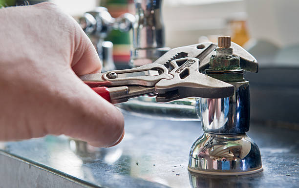 Best Flood damage cleanup  in Terre Du Lac, MO