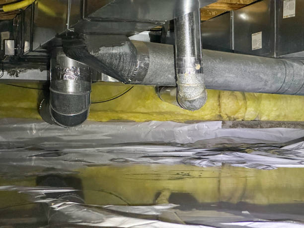 Water damage restoration mold remediation in Terre Du Lac, MO