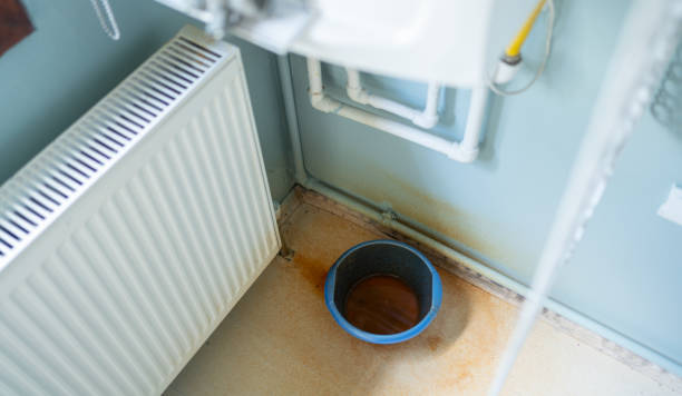 Best Professional water damage repair  in Terre Du Lac, MO