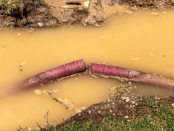 Trusted Terre Du Lac, MO Water damage restoration Experts