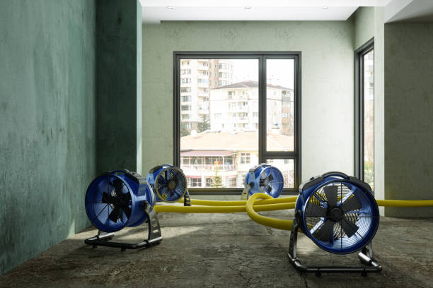 Best Local water damage restoration  in Terre Du Lac, MO